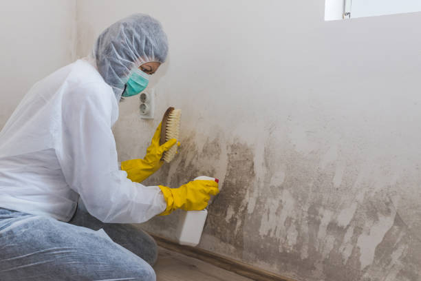 Water Damage Restoration in Lawrence, IN