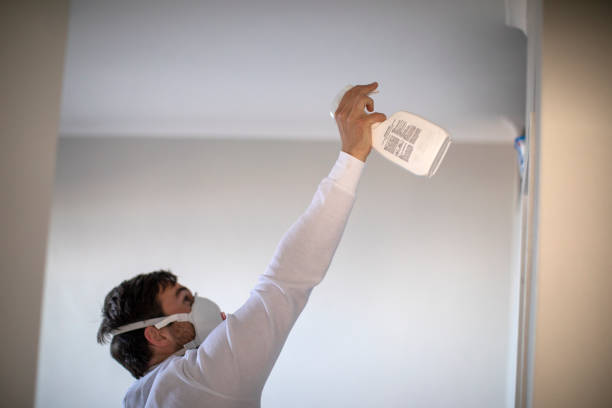 Best Office Mold Removal Services  in Lawrence, IN
