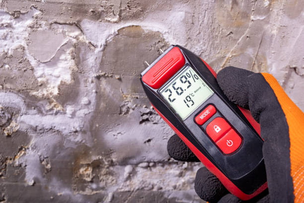 Best Emergency Mold Removal  in Lawrence, IN