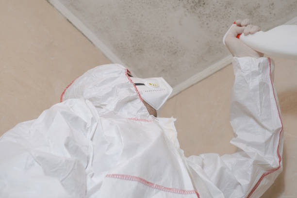 Best Attic Mold Removal  in Lawrence, IN