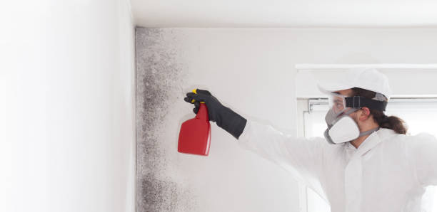 Home Mold Removal in Lawrence, IN