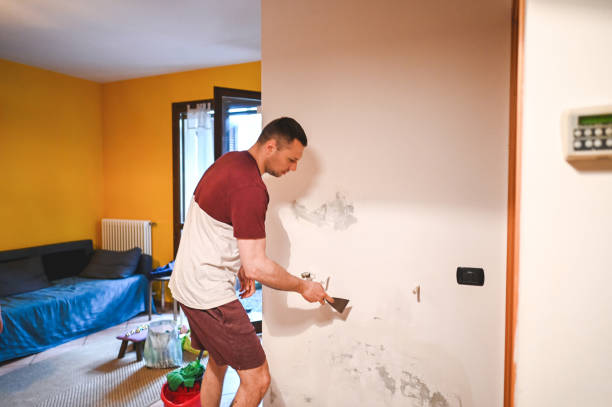 Best Affordable Mold Removal  in Lawrence, IN
